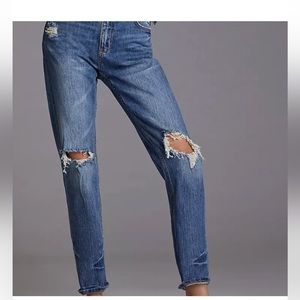 Anthropologie Heritage Boyfriend Jean by Pilcro